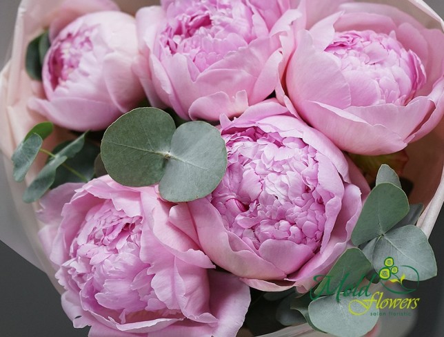 Букет из розовых голландских пионов Фото